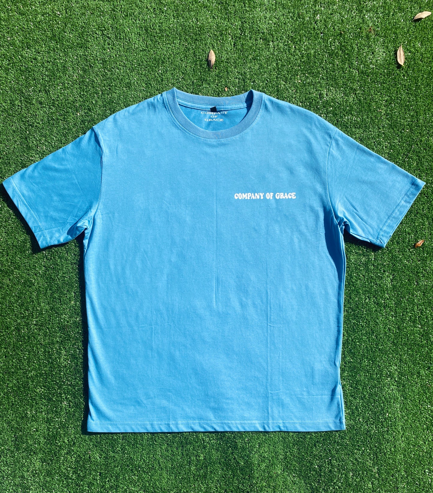 Jeremiah 29:11 Tee, Light Blue